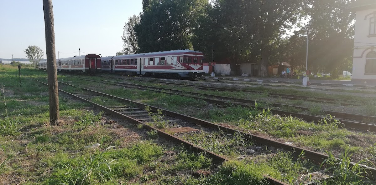 AUTOGARA OLTENITA - foto 5