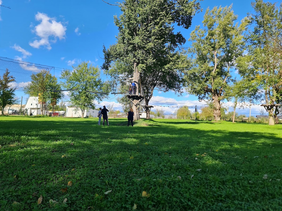 Aventura Parc Drăguțești - foto 3