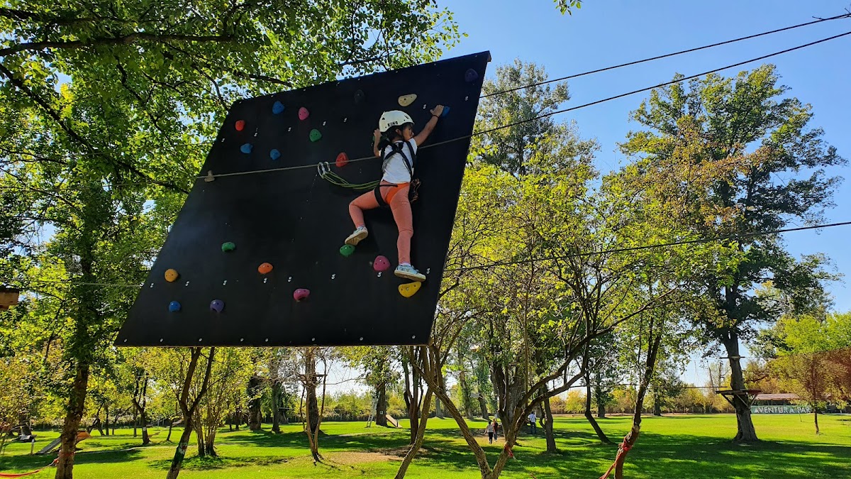 Aventura Parc Drăguțești - foto 4