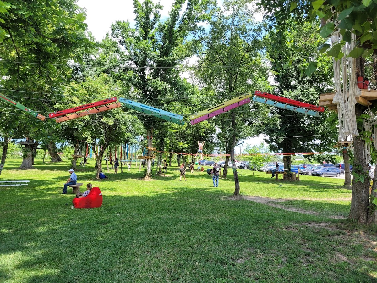 Aventura Parc Drăguțești - foto 5