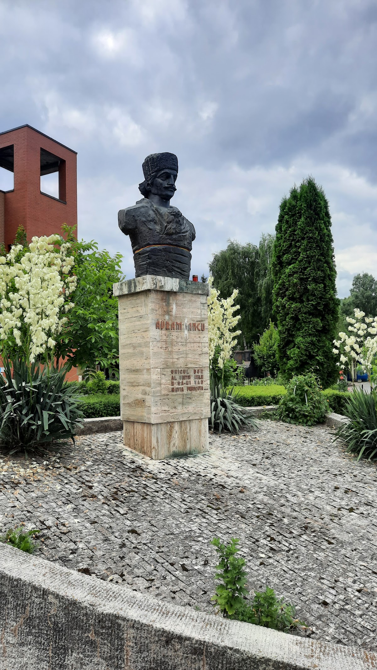 Avram Iancu - foto 2