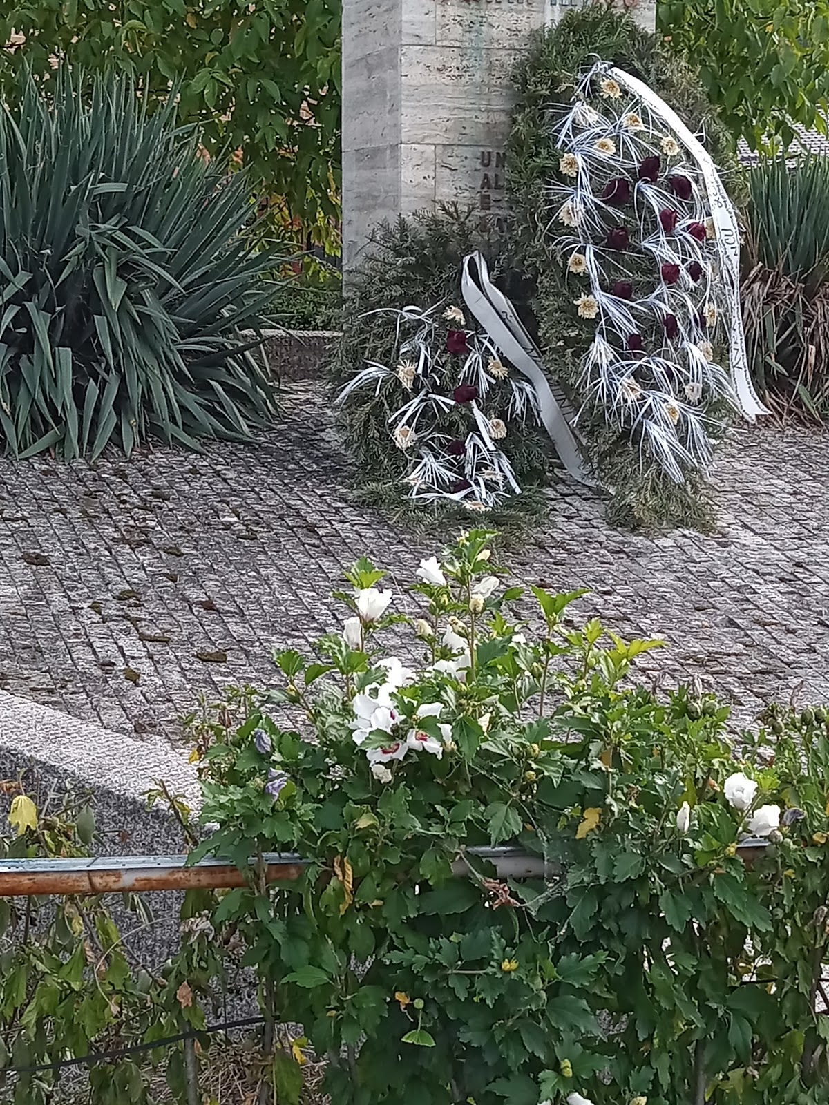 Avram Iancu - foto 3