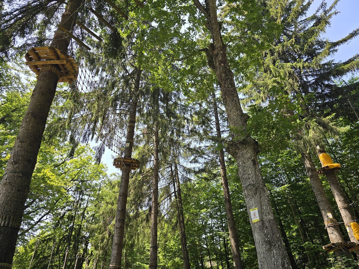 Bálványos Adventure Park - foto 2