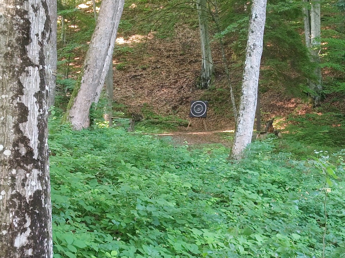 Bálványos Adventure Park - foto 5