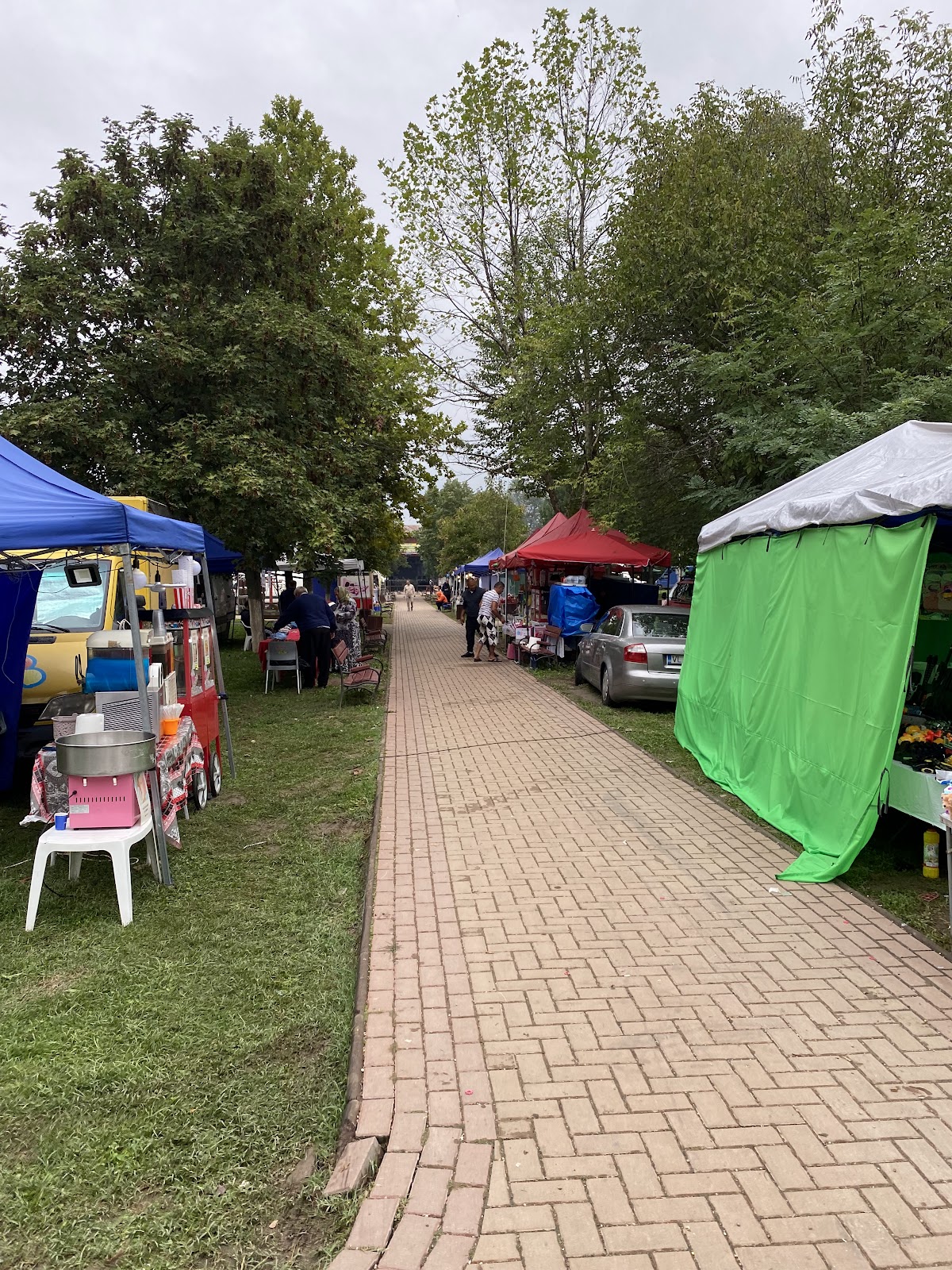 Babeni Parc - foto 3