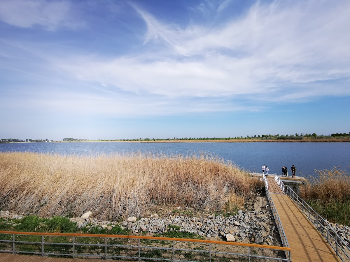 Baile Amara - foto 1