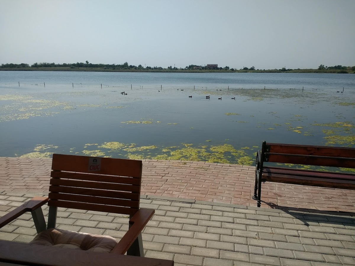 Baile Amara - foto 4