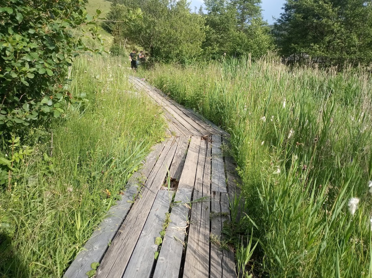 Băile Bârzava - foto 2