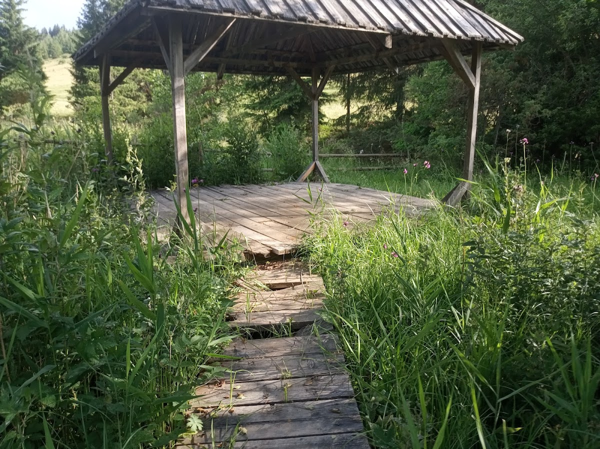 Băile Bârzava - foto 4