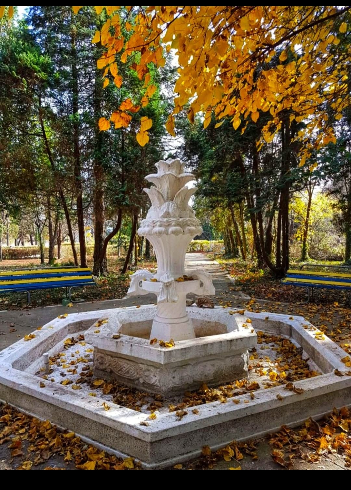 Băile Calacea - foto 4