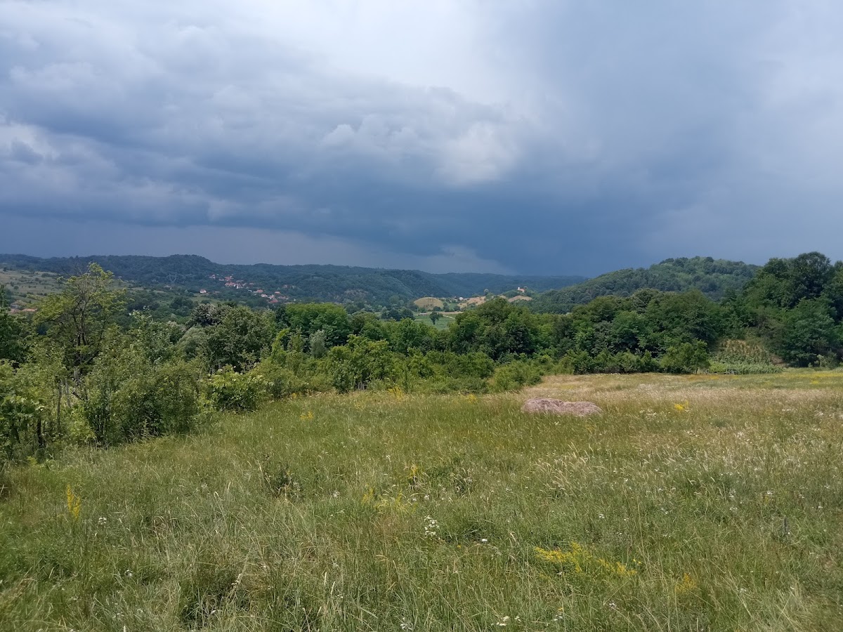 Bala