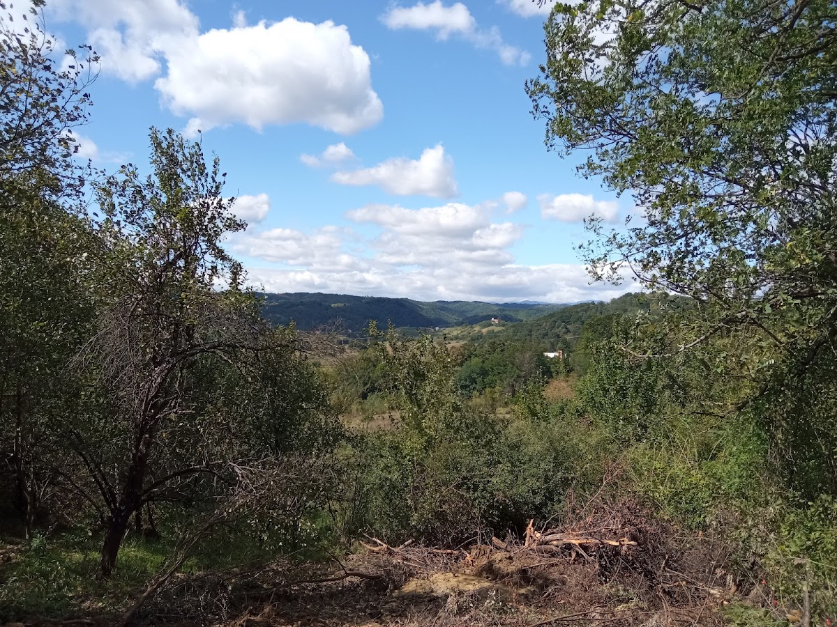 Bala de Jos - foto 4
