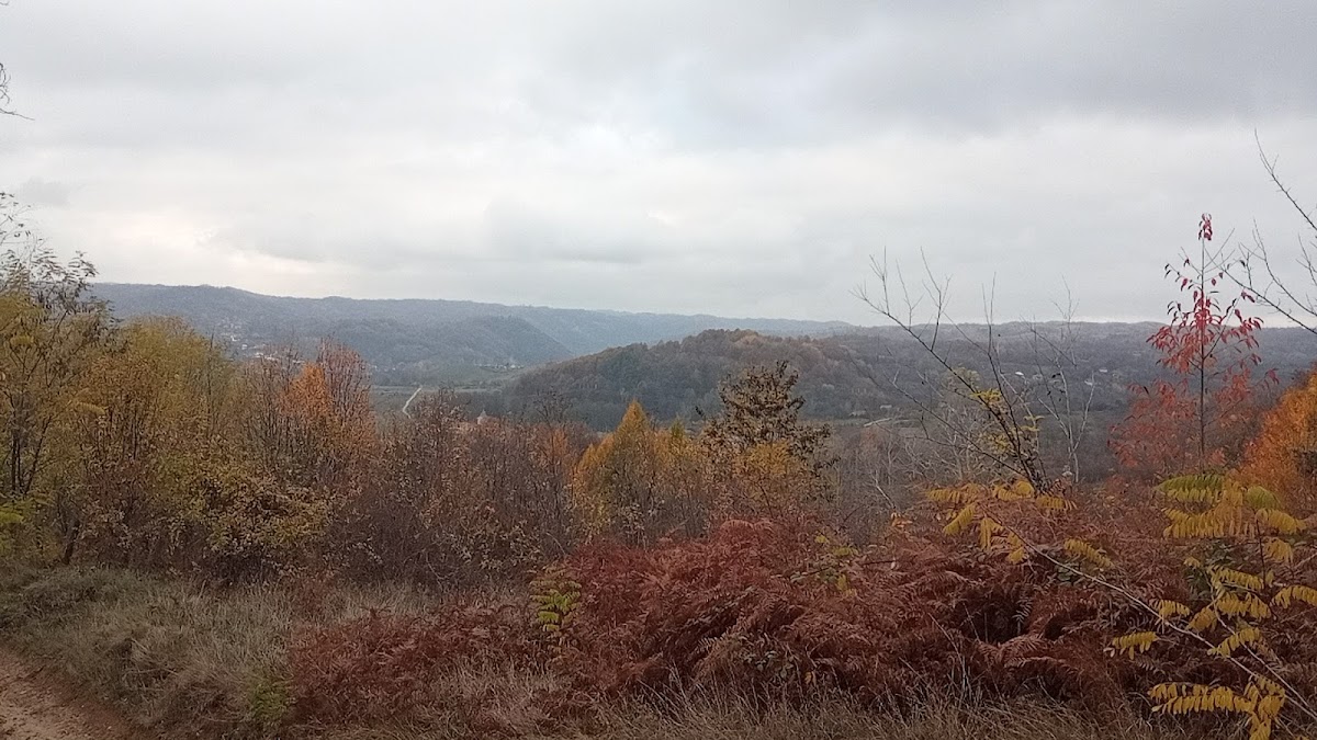 Bala de Jos - foto 5