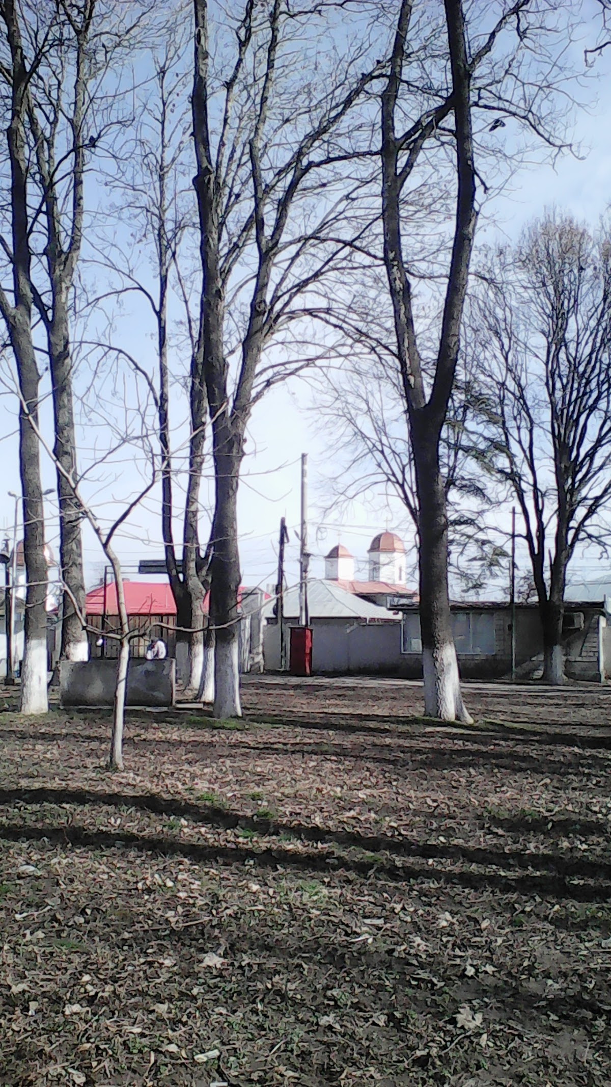 Bălăceanca - foto 3