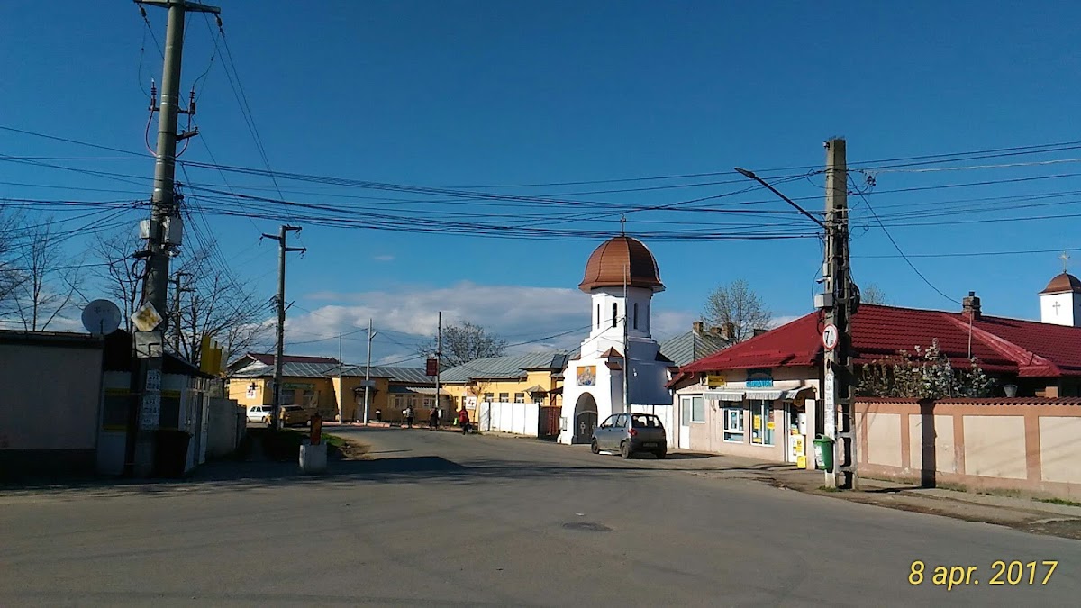Bălăceanca - foto 4