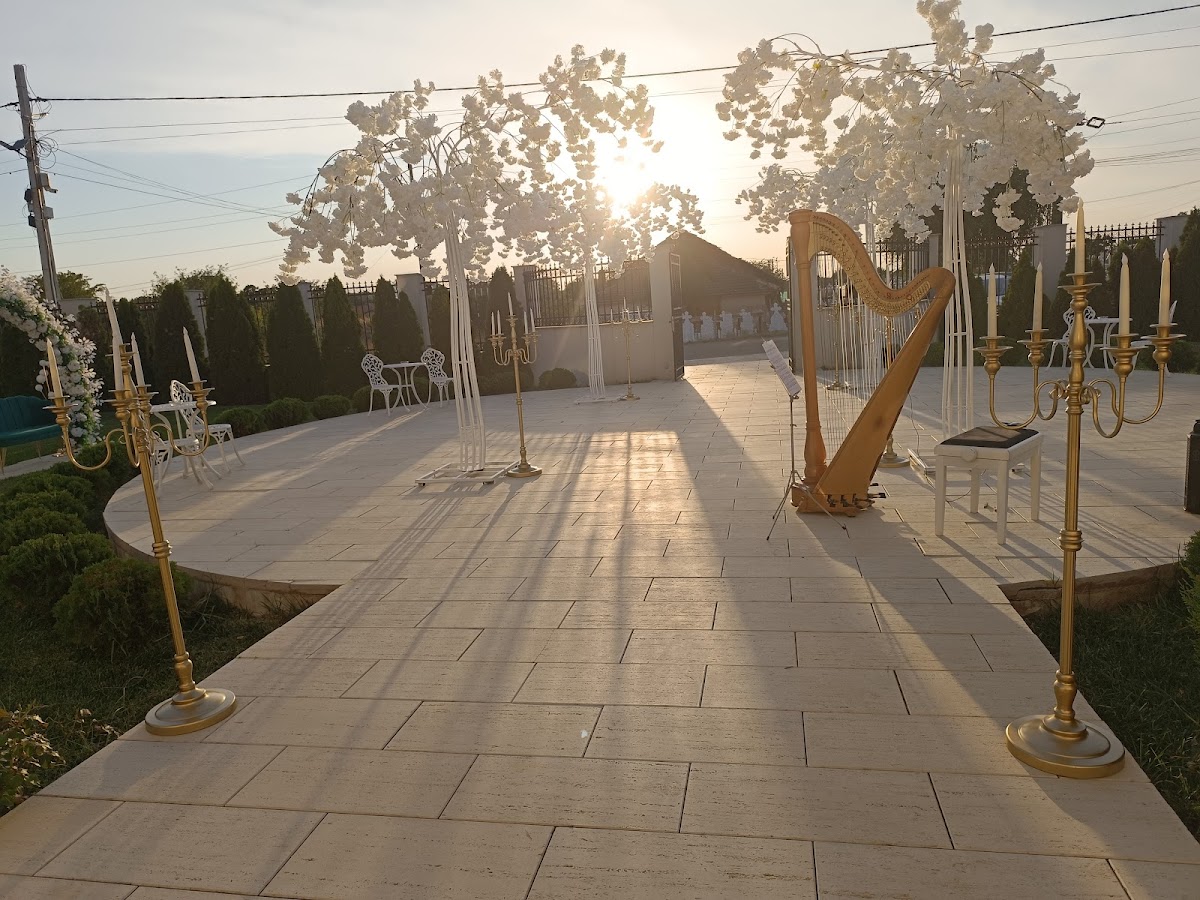 Ballroom STOICESCU - foto 4