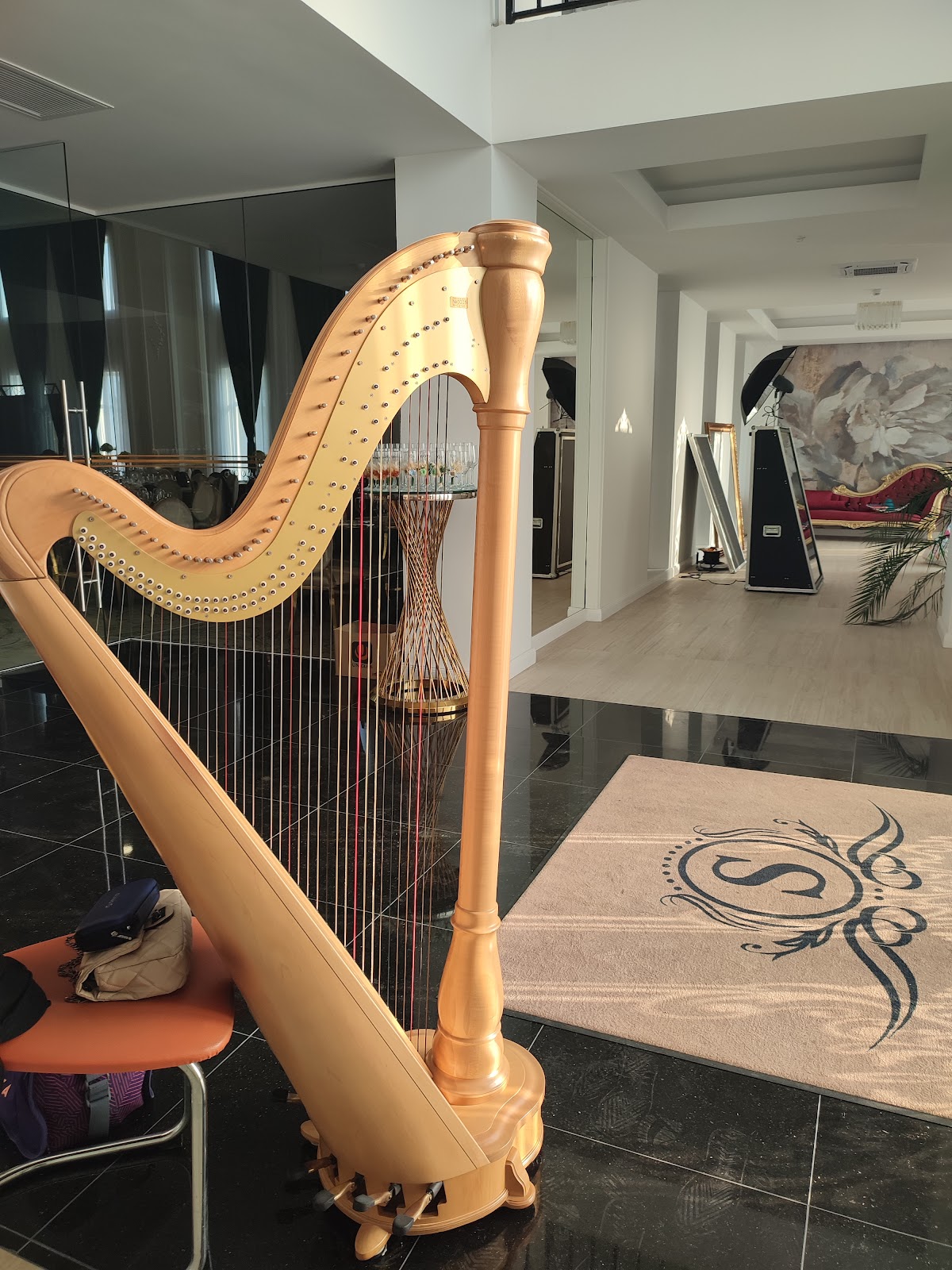 Ballroom STOICESCU - foto 5