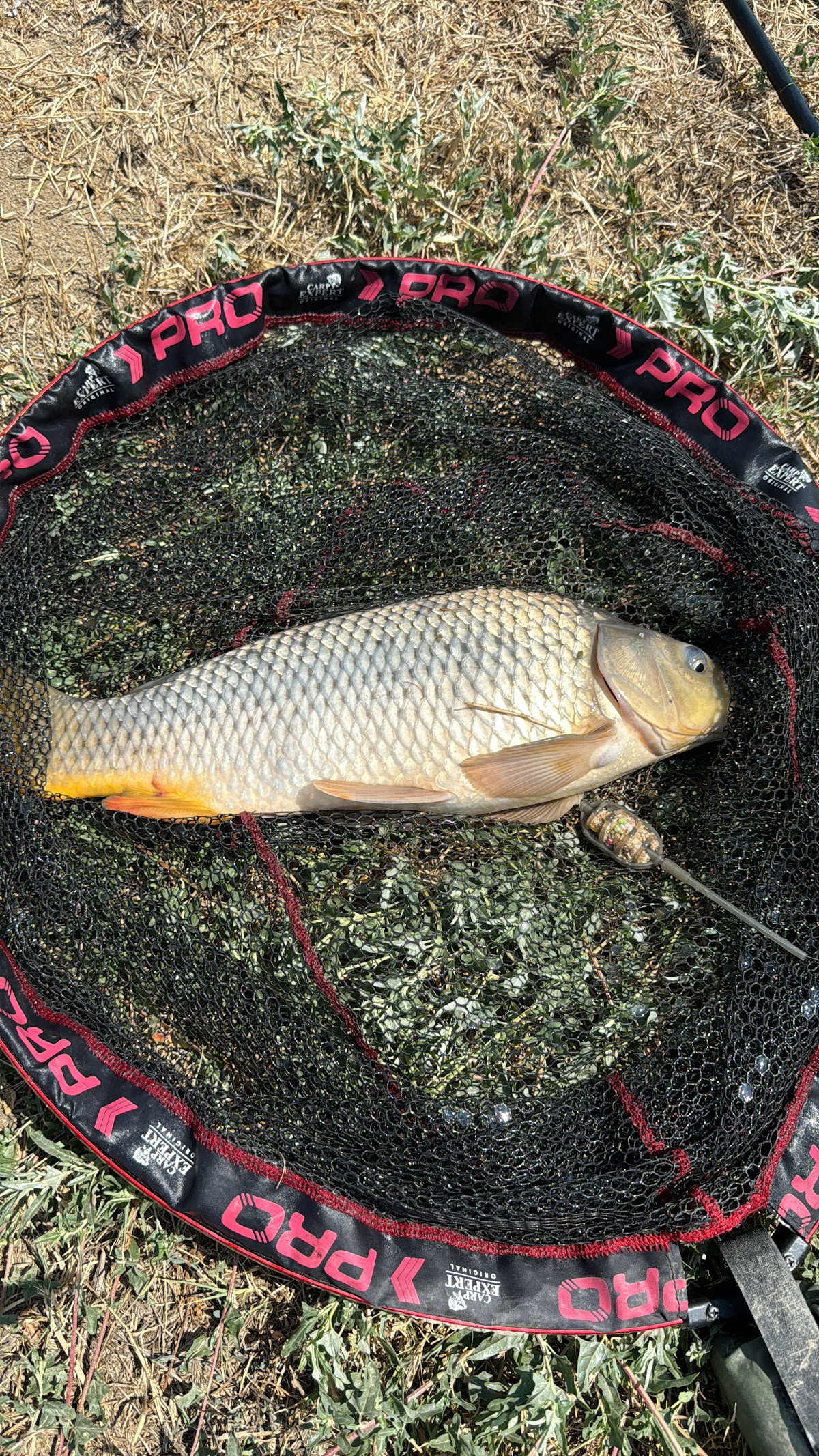 Balta AGROACVA - foto 4