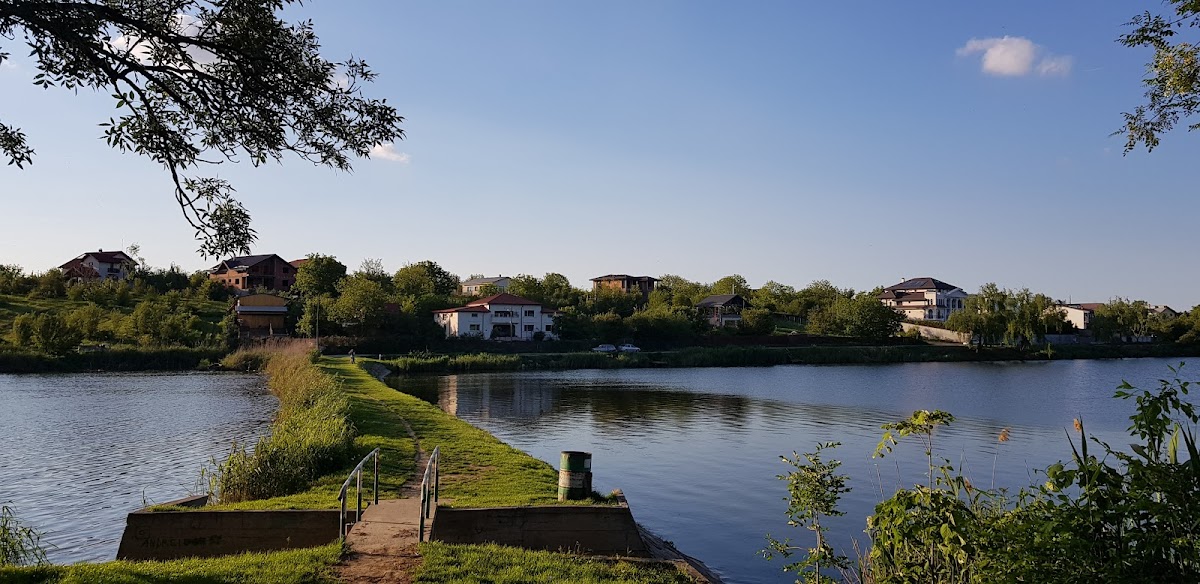 Balta Branesti, Vlădeşti