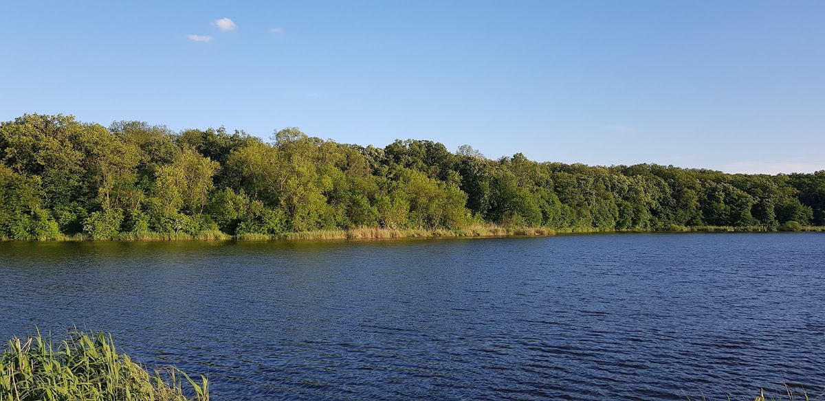 Balta Branesti - foto 2