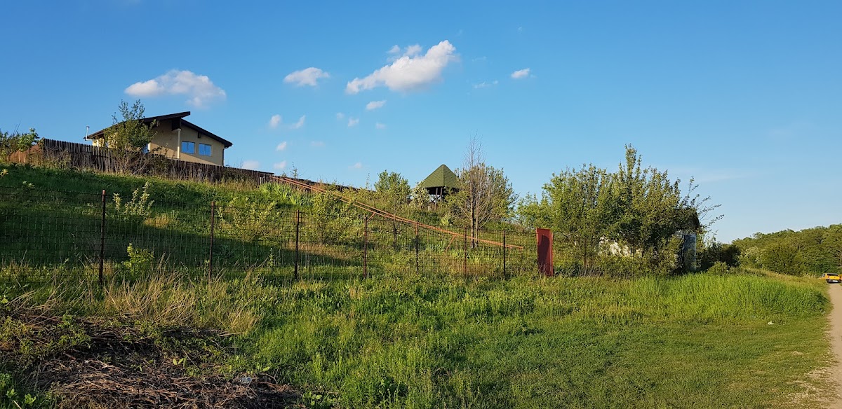 Balta Branesti - foto 3