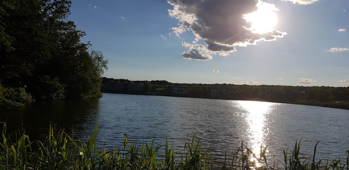 Balta Branesti - foto 5