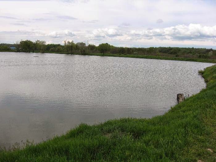 Balta Colonesti - Olt