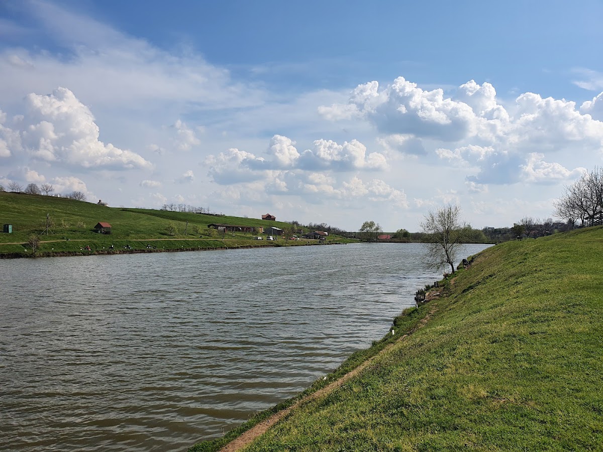 Balta Cornești Timis - foto 3