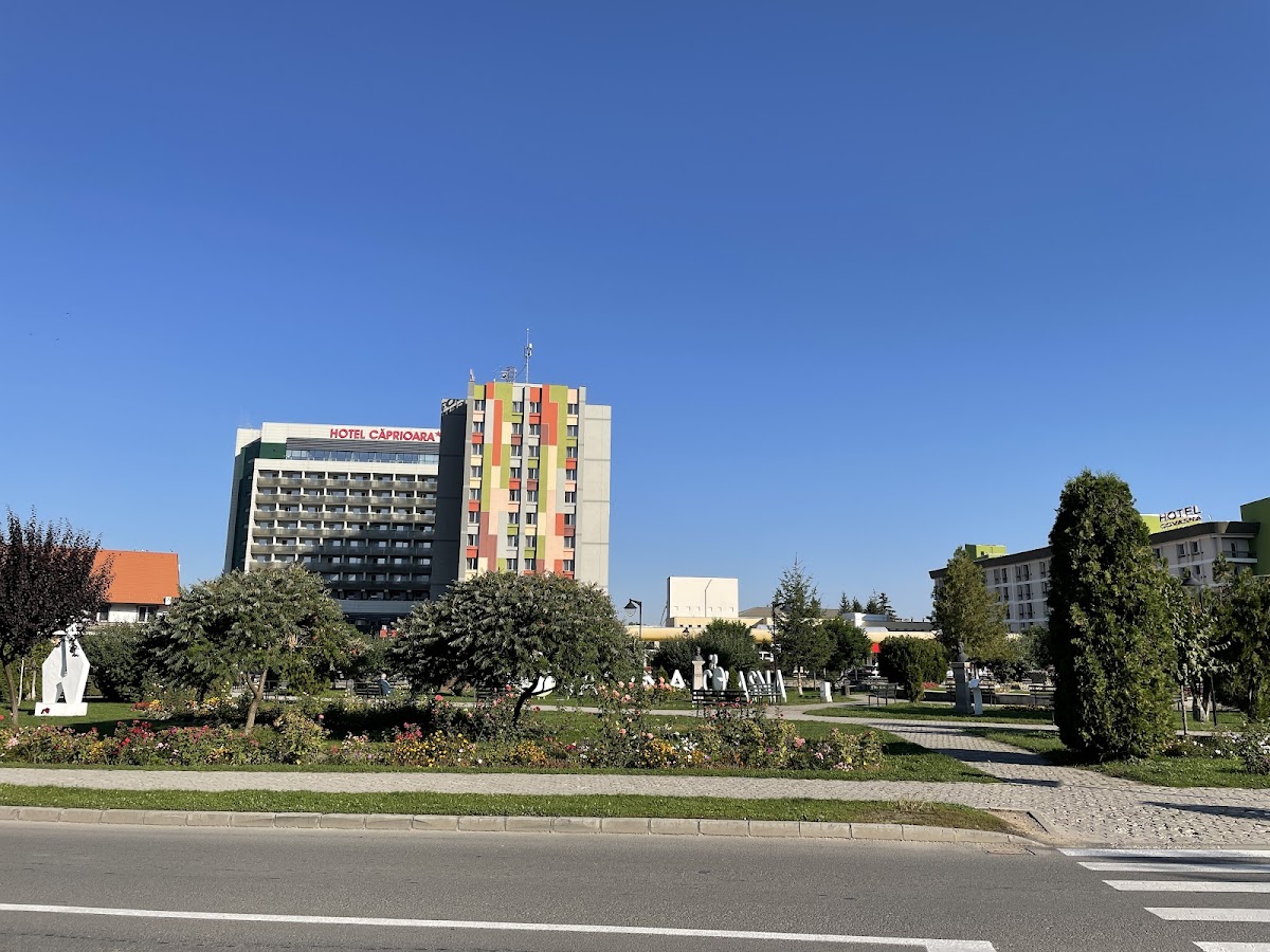 Balta Dracului - foto 1