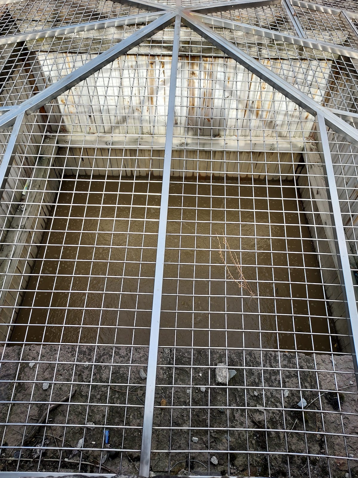 Balta Dracului - foto 3