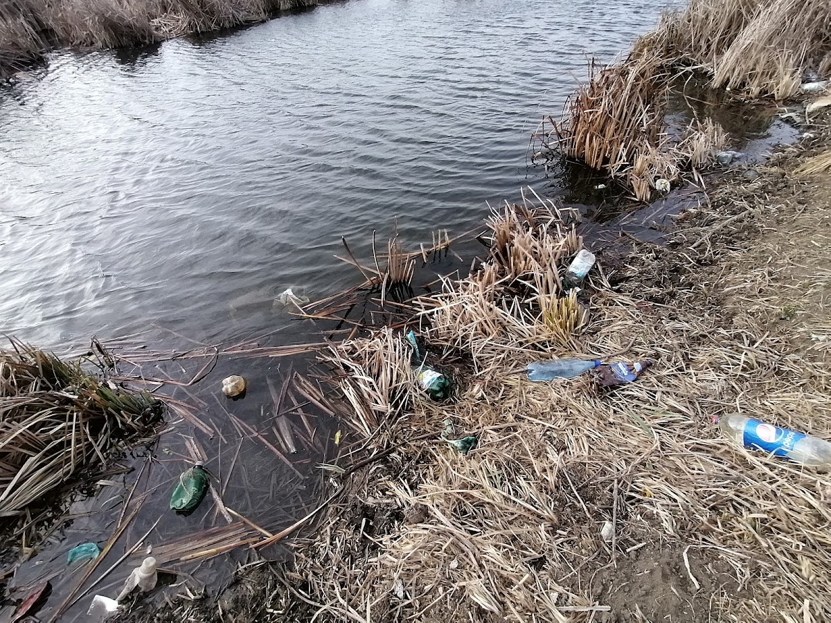 Balta Glina - Bălăceanca - foto 2