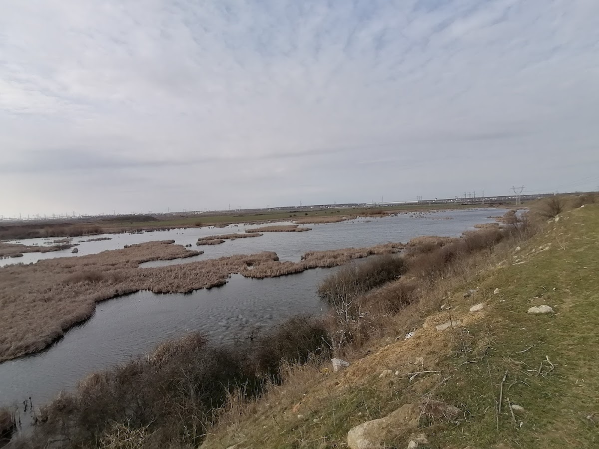 Balta Glina - Bălăceanca - foto 3