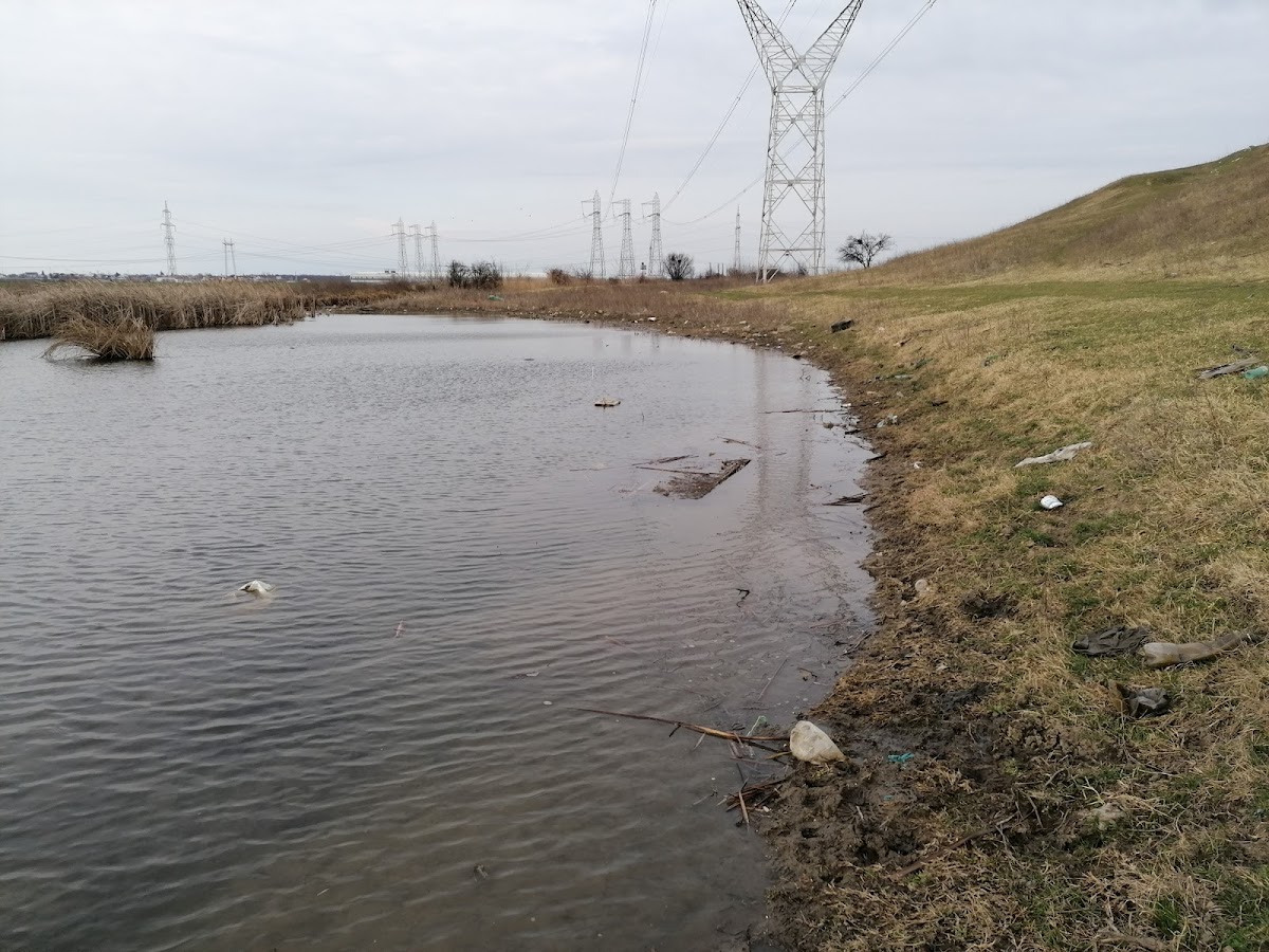 Balta Glina - Bălăceanca - foto 5