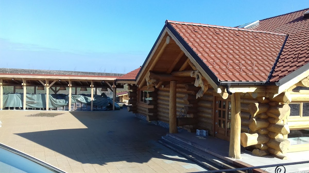 Balta Gruiu - foto 3