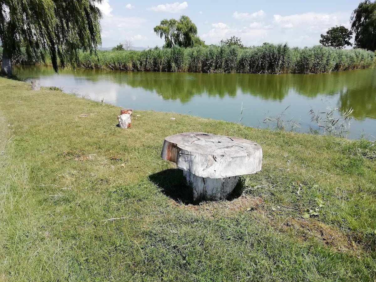 Balta Măgula 1 - foto 5