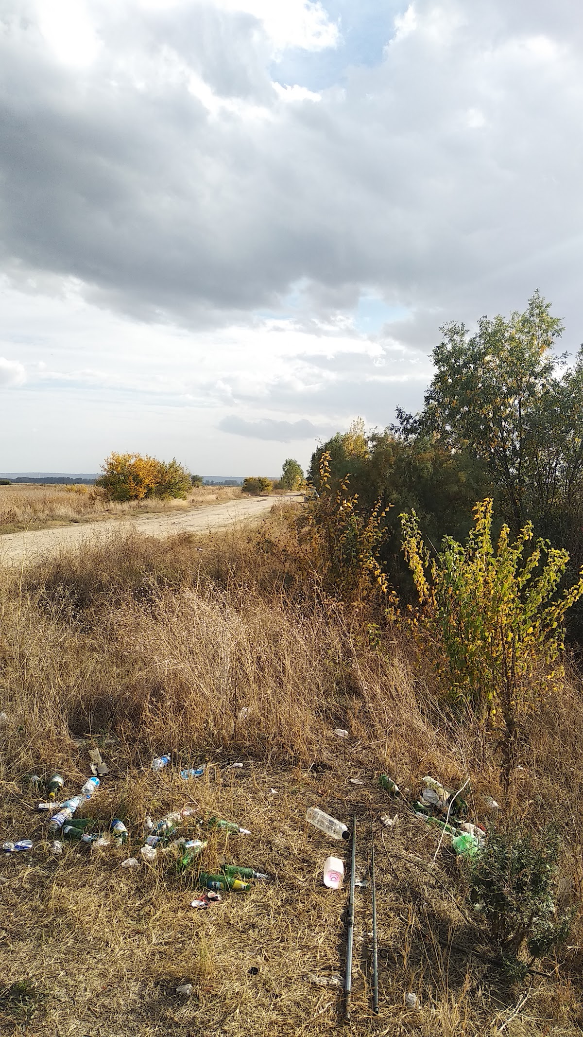 Balta Suhaia - Gemeinde Suhaia, Landkreis Teleorman - foto 5