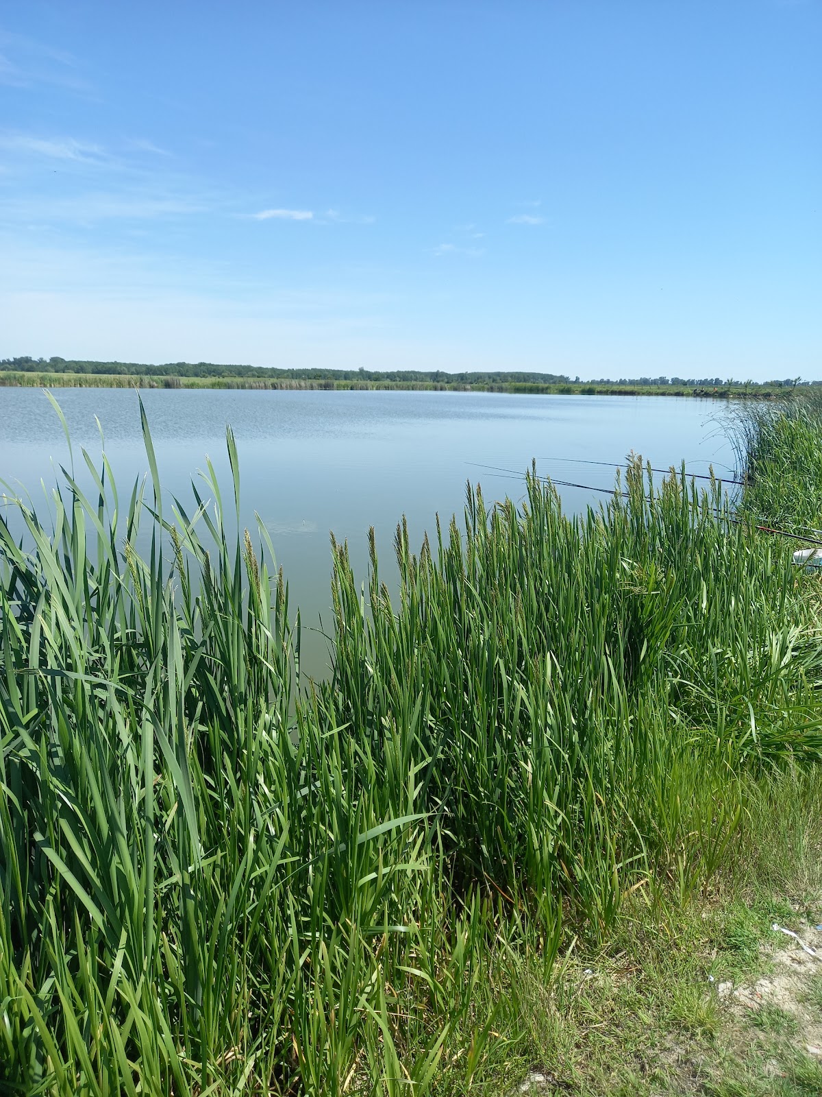 Balta Țuglui - foto 4