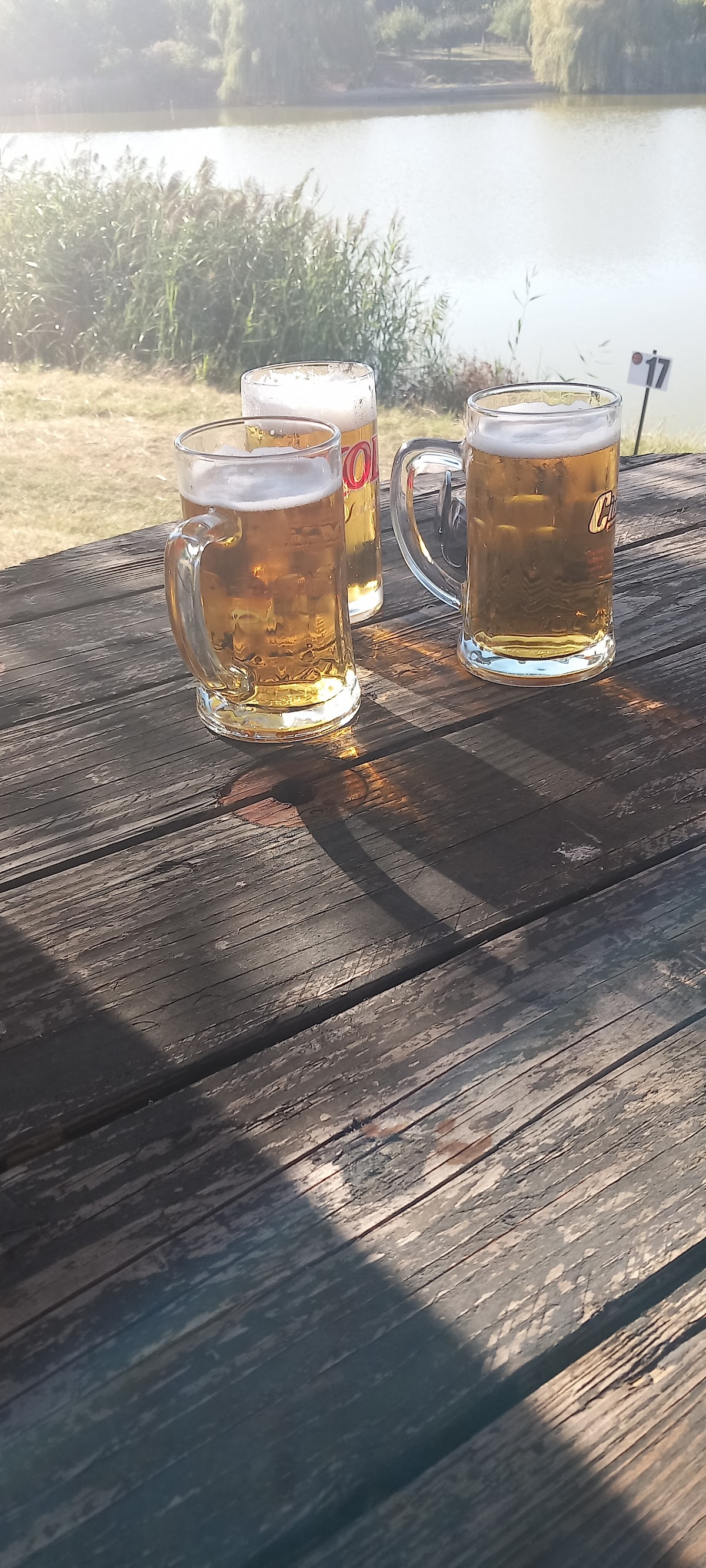 Balta Valea Bisericii - foto 3
