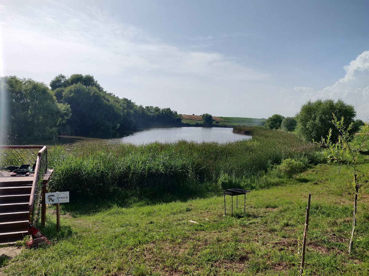 Balta Valea Liliecilor