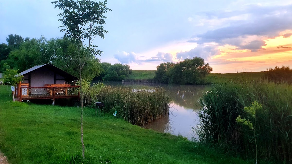 Balta Valea Liliecilor