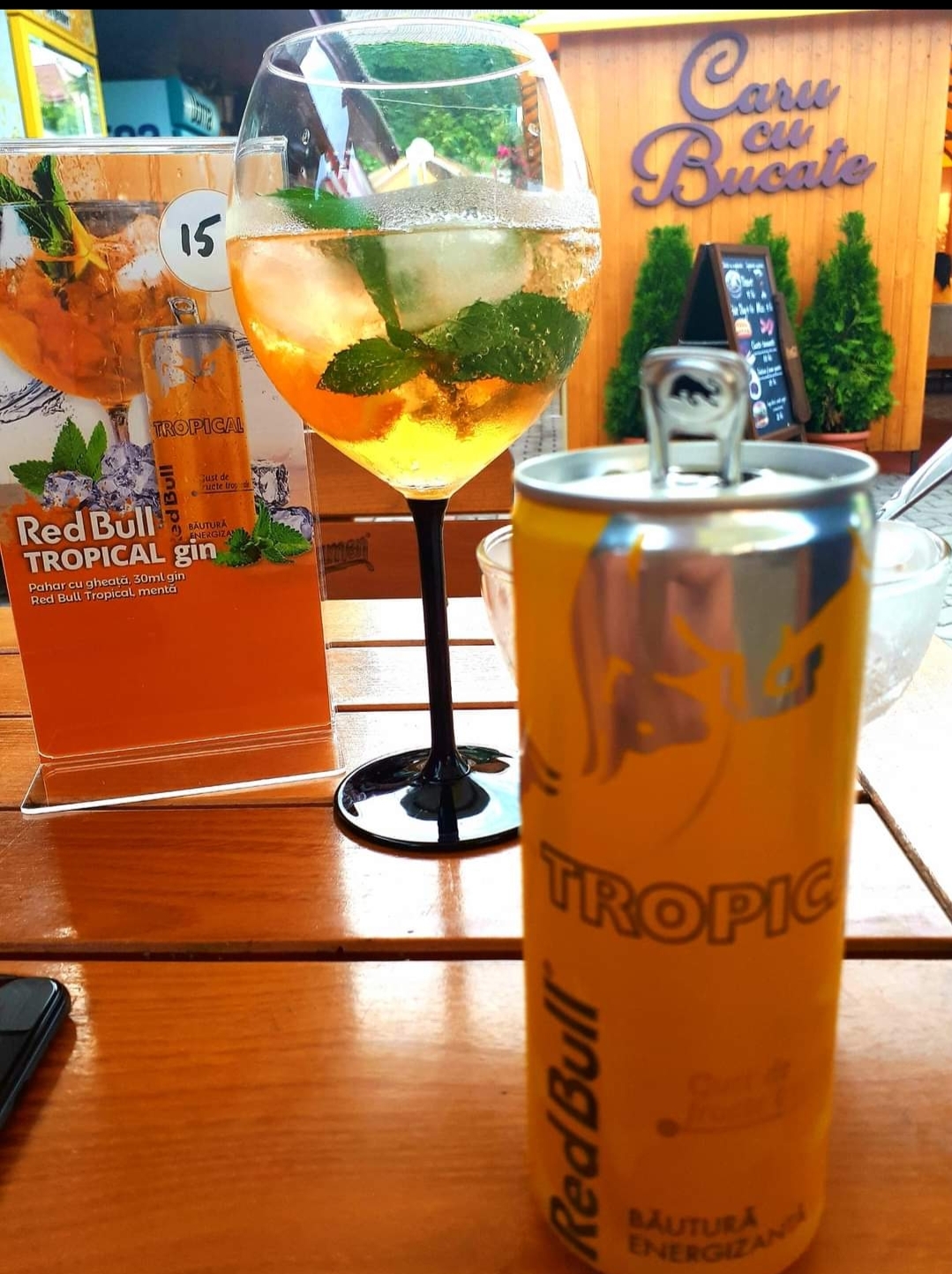 Bar Iedera