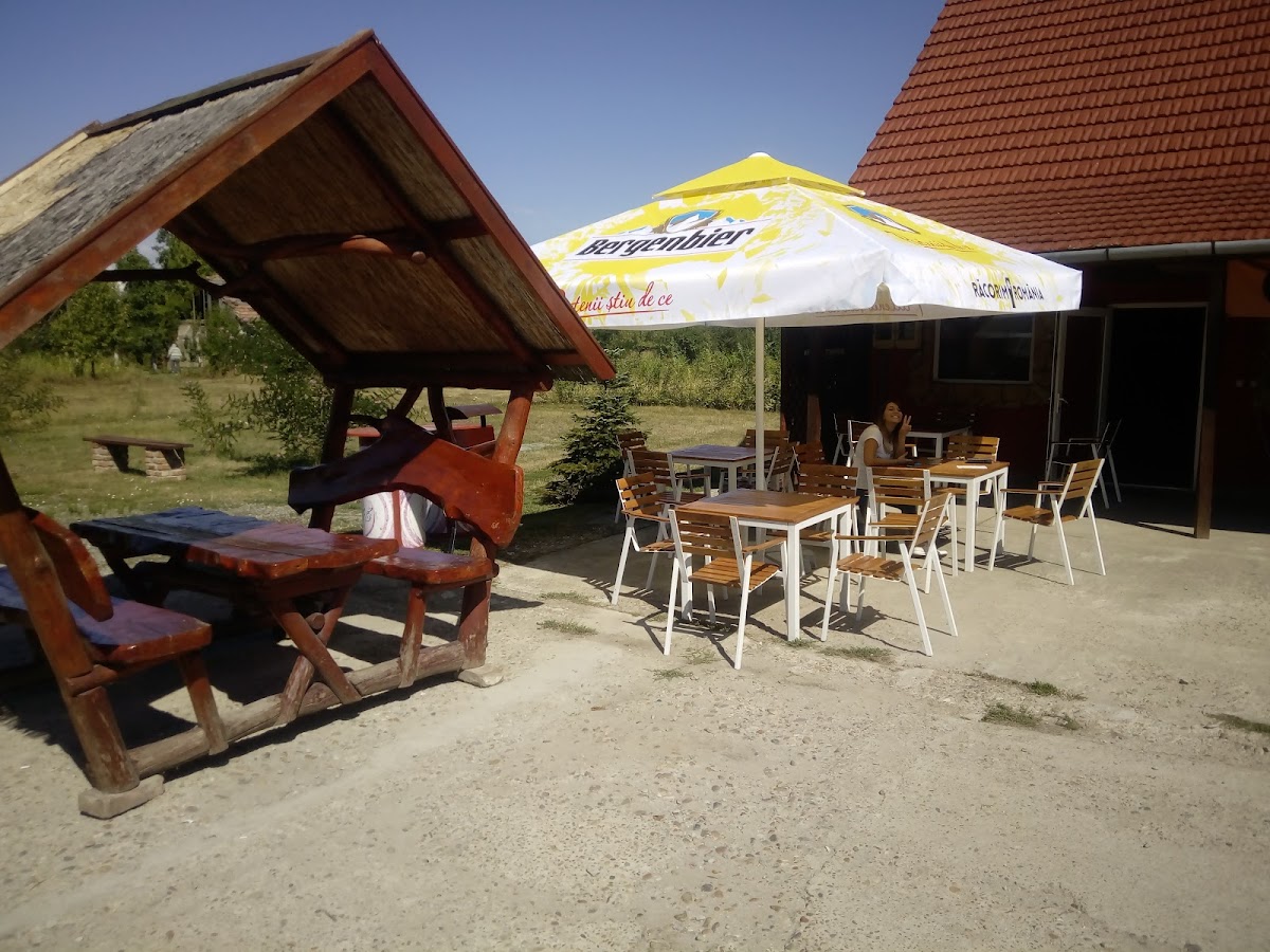 Bar/Vulcanizare •Salard•, Sălard