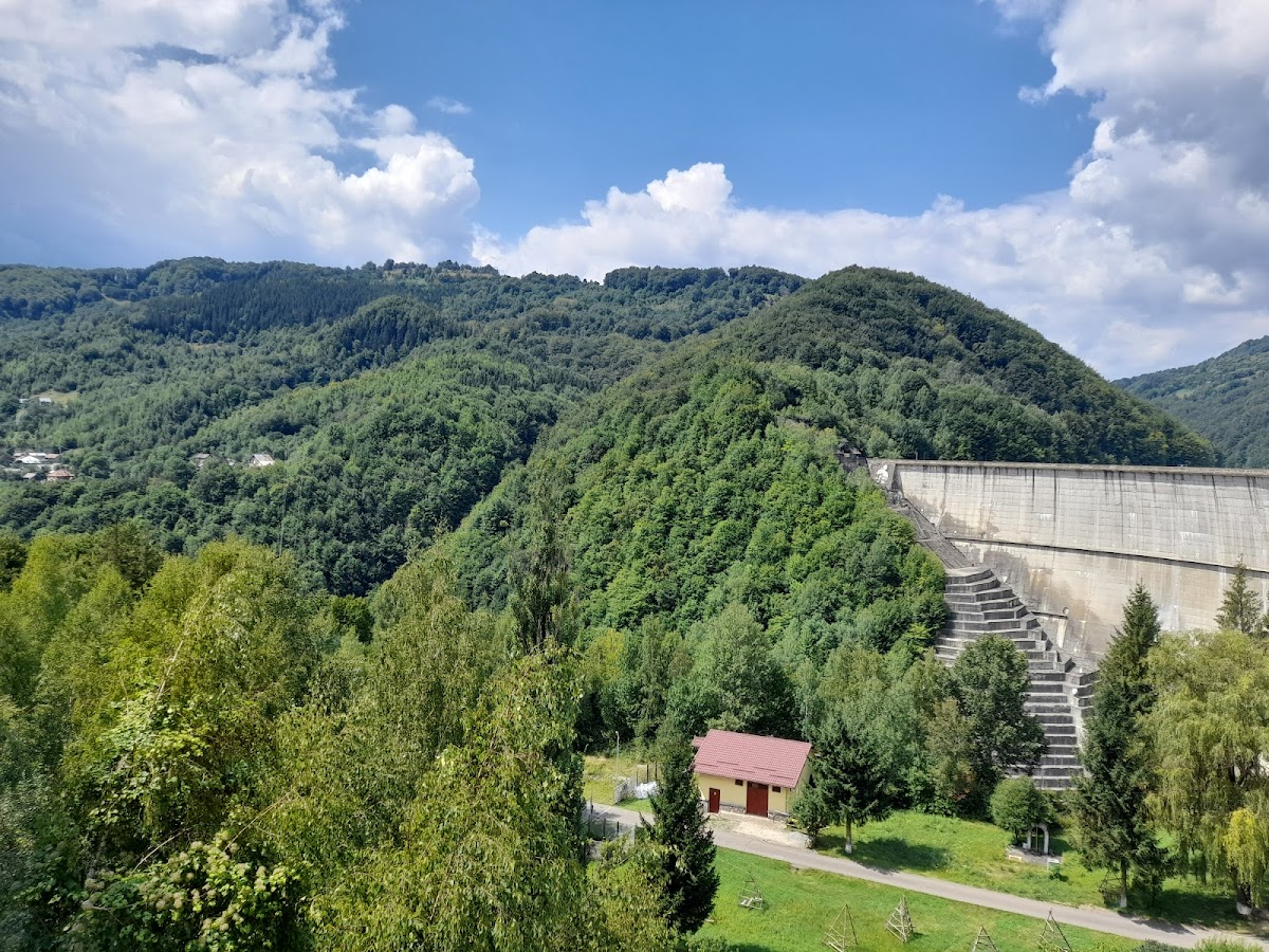 Paltinu Dam