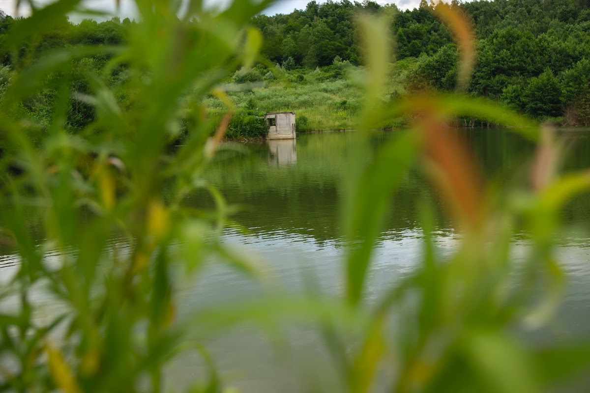 Represa de Pietroasa - foto 4