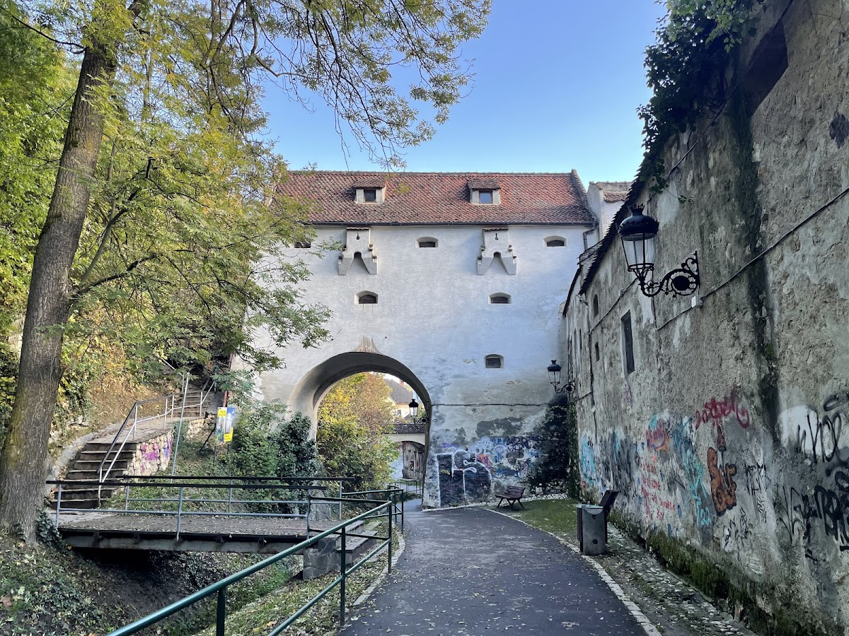 Bastione Graft