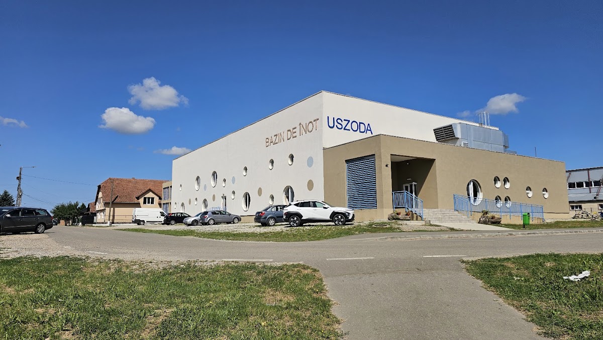 Bazin de înot - foto 1