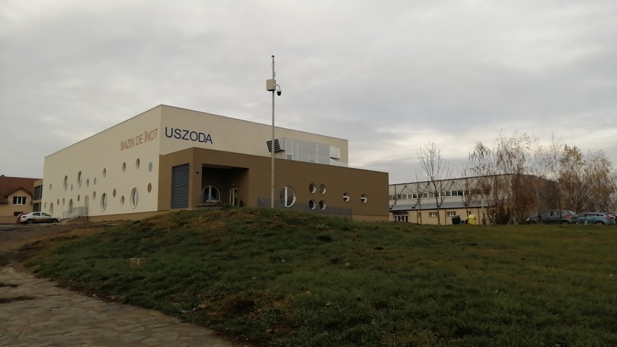 Bazin de înot - foto 3