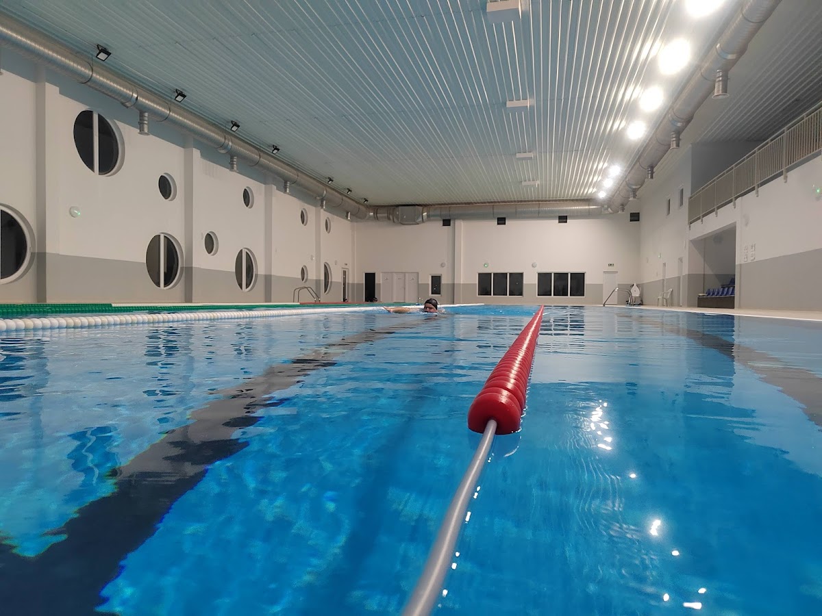 Bazin de înot - foto 4