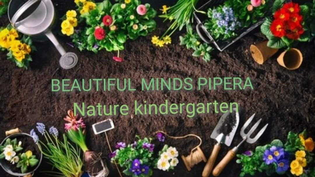 Beautiful Minds Pipera-Nature kindergarten