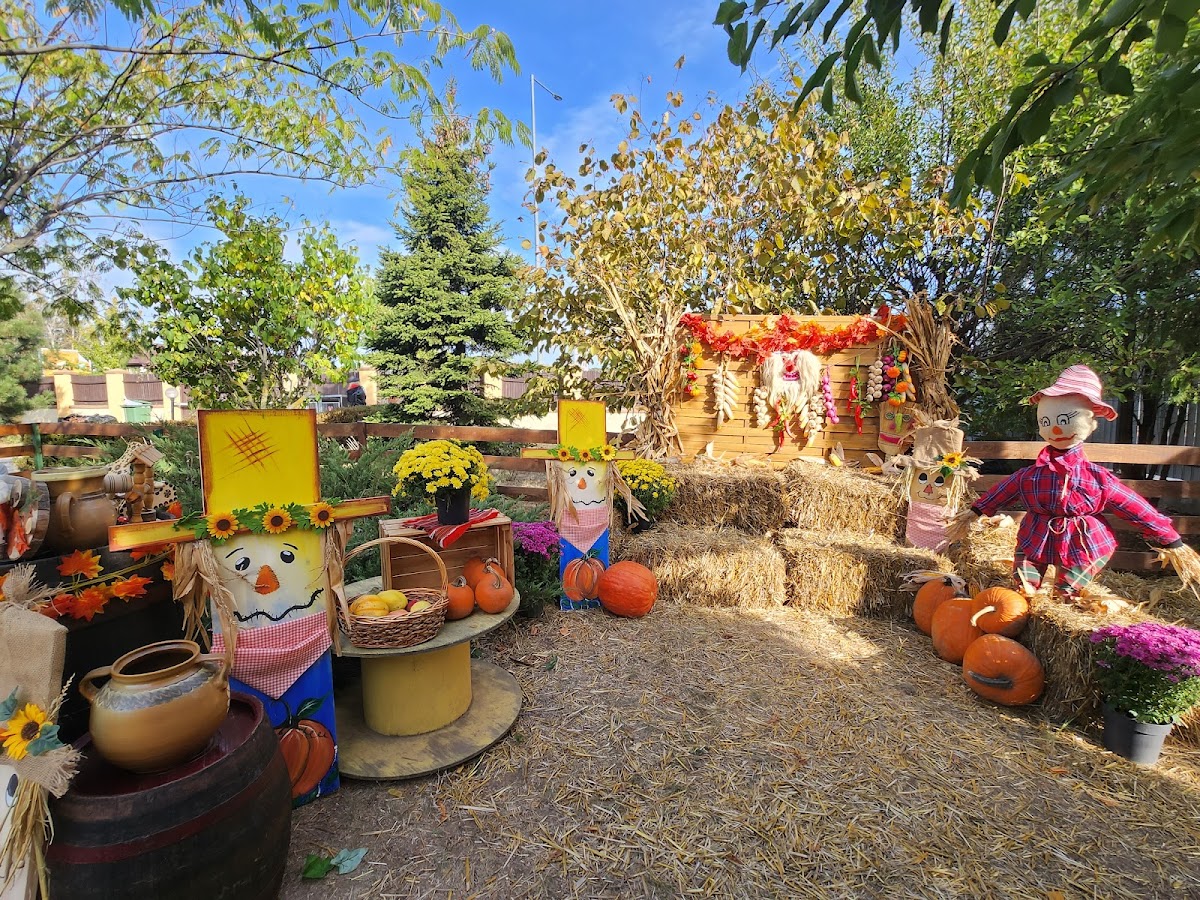 Beautiful Minds Pipera-Nature kindergarten - foto 3